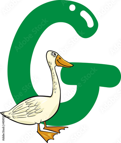 G for goose