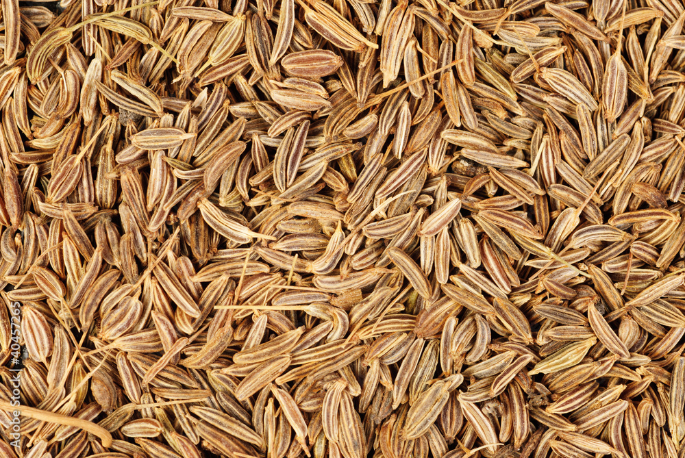 cumin seeds macro as background
