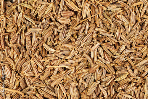 cumin seeds macro as background photo