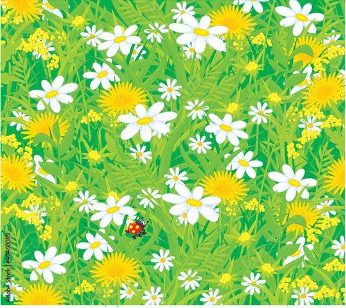 Background with a ladybug and field flowers