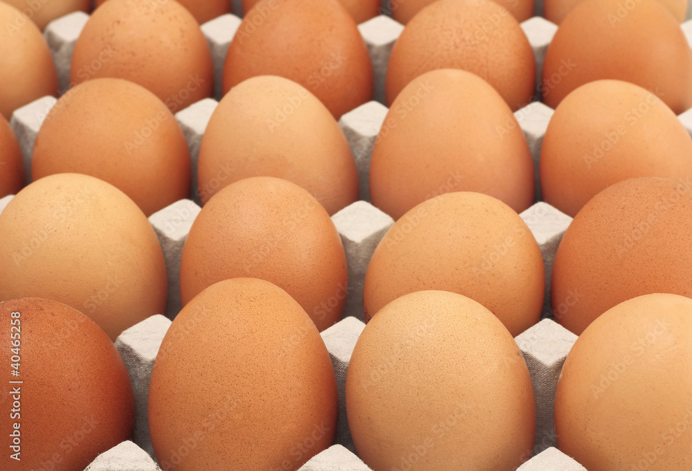 Chicken Eggs row pattern background Chicken Eggs row pattern background