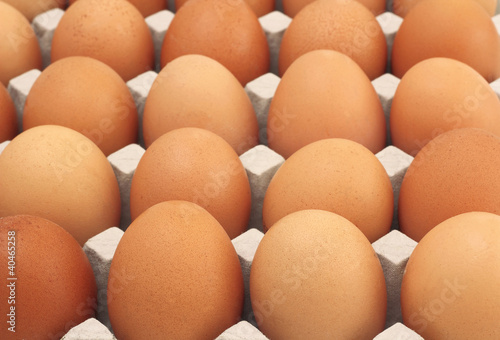 Chicken Eggs row pattern background