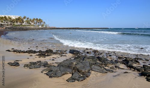 Lanzarote s typical beach with palm trees