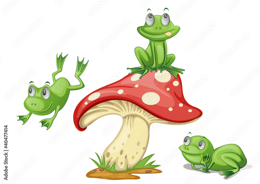 Obraz premium 3 frogs