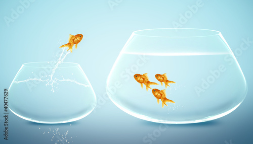 goldfish jumping into bigger fishbowl