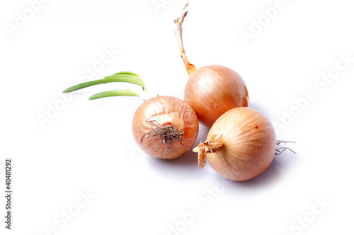 Obraz na płótnie Vegetables w salonie