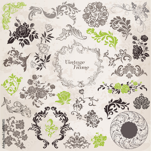 Vector Set: Calligraphic Design Elements and Page Decoration