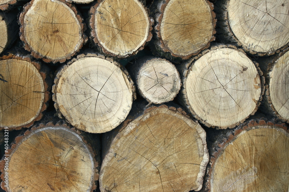 Stock of wood for a beautiful background Stock of wood for a beautiful background