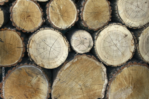 Stock of wood for a beautiful background
