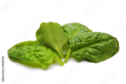 spinach leaf isolated on white background