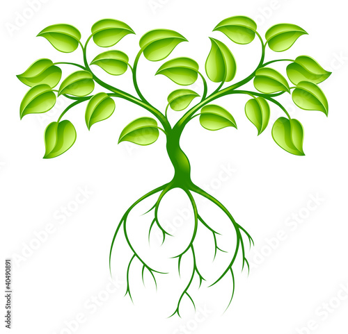 Green tree and roots