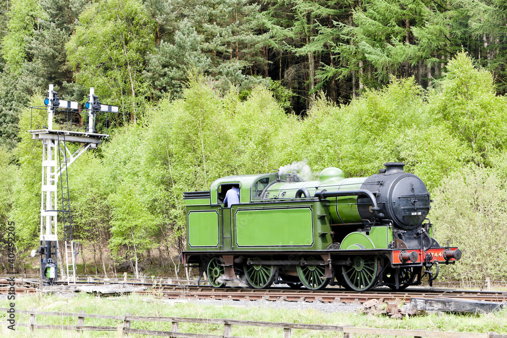 Fototapeta premium steam train, North Yorkshire Moors Railway (NYMR), England