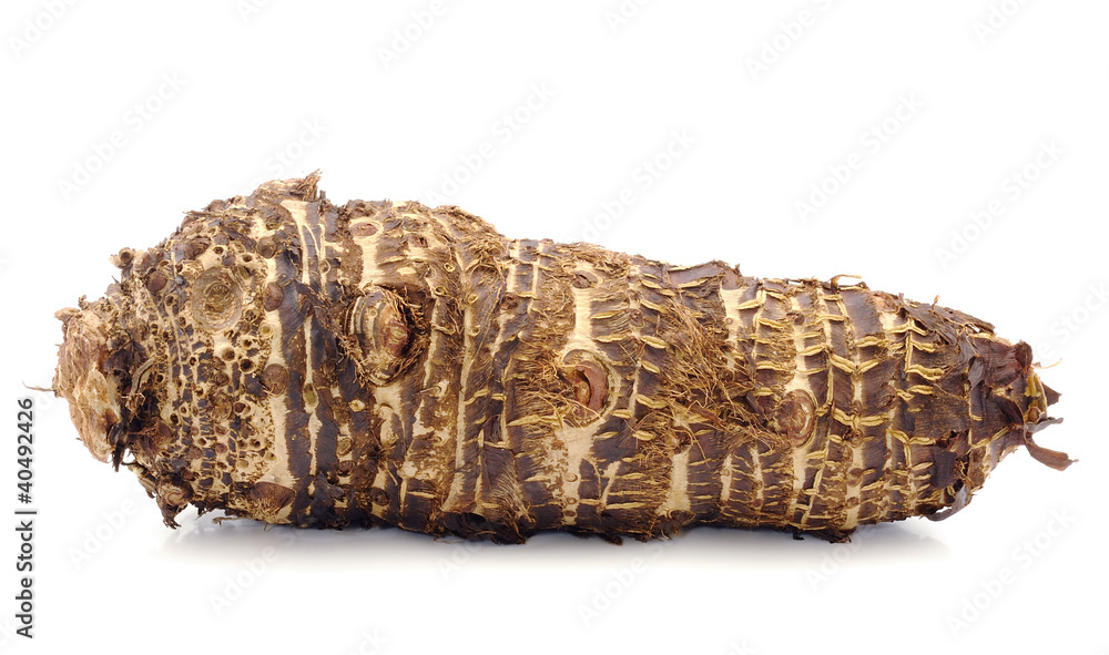 taro roots on white taro roots on white