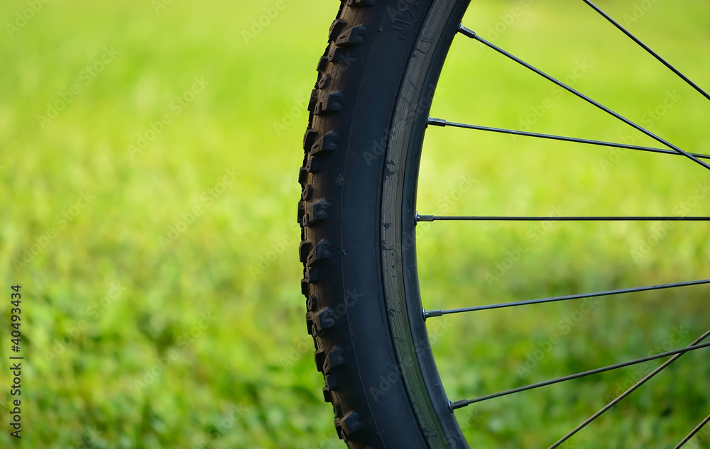 vélo,bicyclette,détente,senior,roue,pneus,rayons,nature,vert Stock Photo |  Adobe Stock