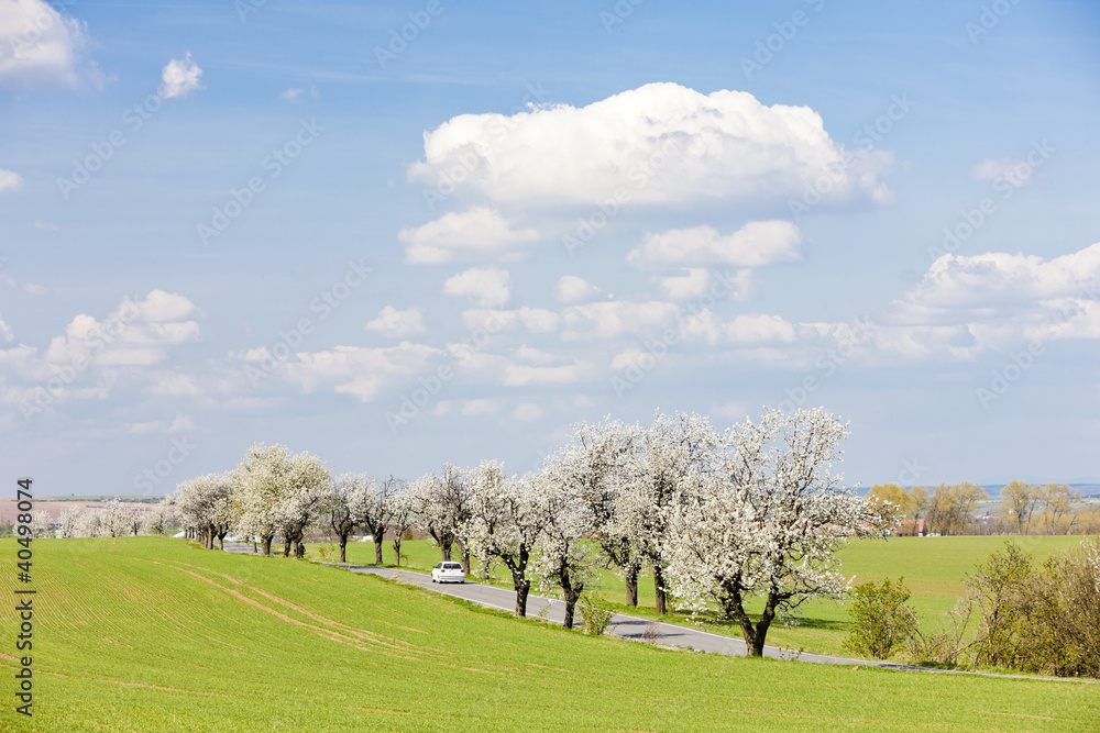 spring landscape with a road, Czech Republic spring landscape with a road, Czech Republic