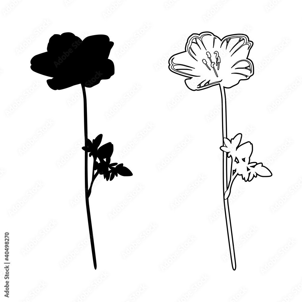 ネモフィラ シルエット 線画 Stock イラスト Adobe Stock