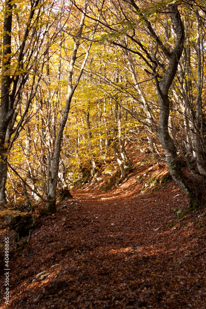 Sentiero di montagna in autunno - Appennino Marchigiano