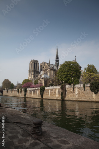 Fototapeta Naklejka Na Ścianę i Meble -  Notre Dame 2