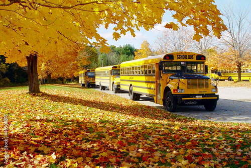 autumn school bus