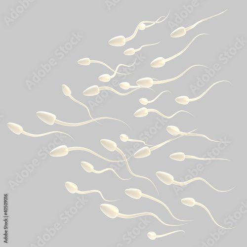 Schilderij op canvas Group of spermatozoon isolated