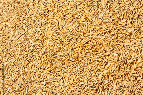 Jasmine rice seed texture