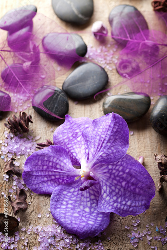 Photography orchid flower for spa