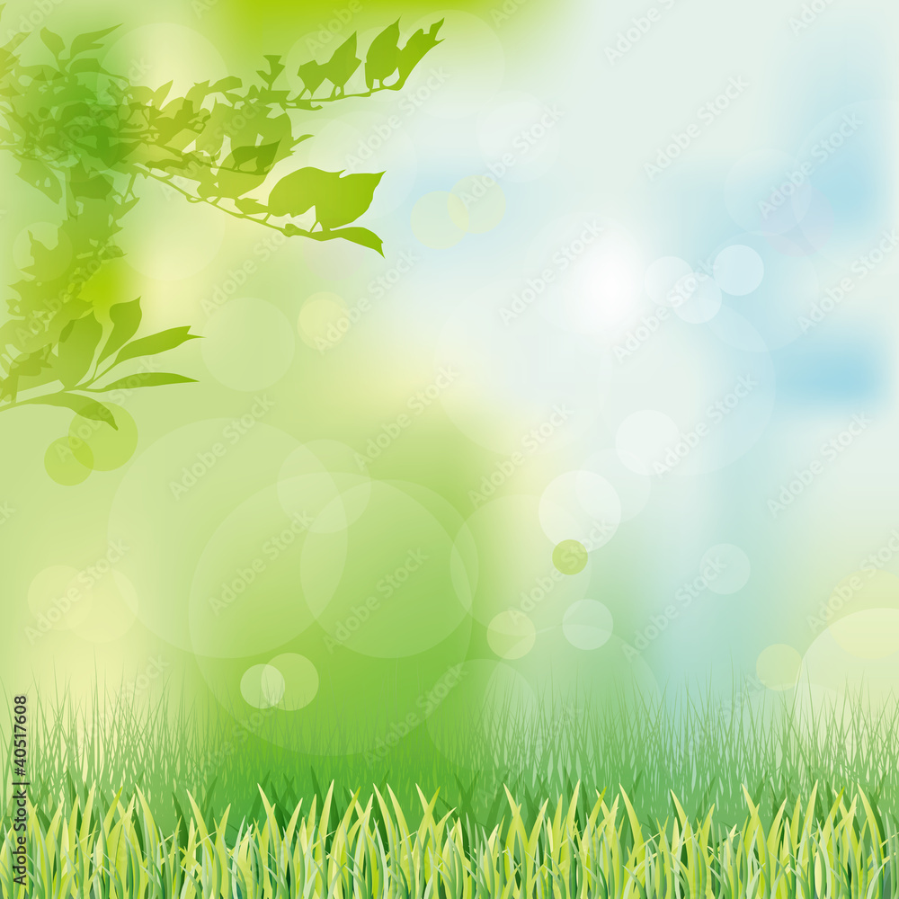Obraz premium green grass background