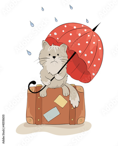 Sad cat with an umbrella