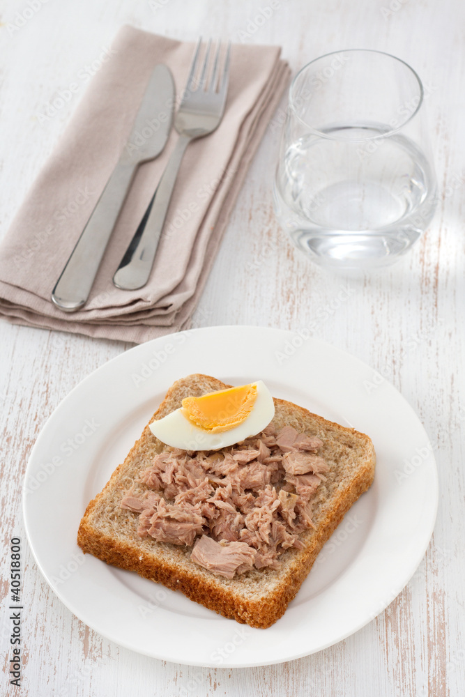 toast with tuna and egg on the plate toast with tuna and egg on the plate