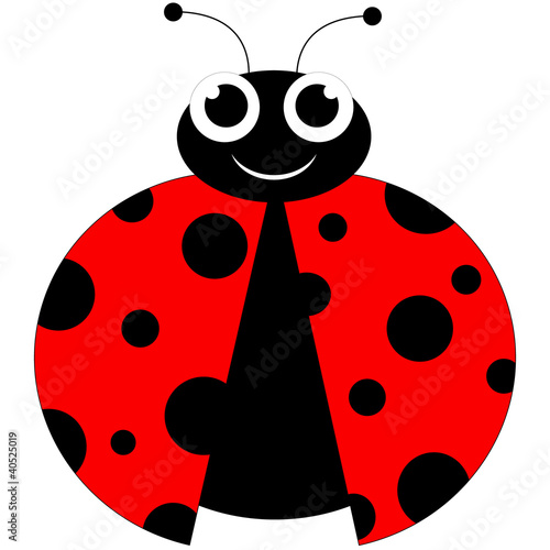ladybug