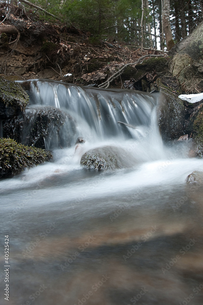 Fototapeta premium Stream