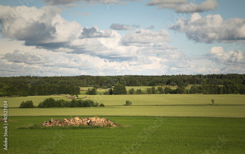 Swedish country side
