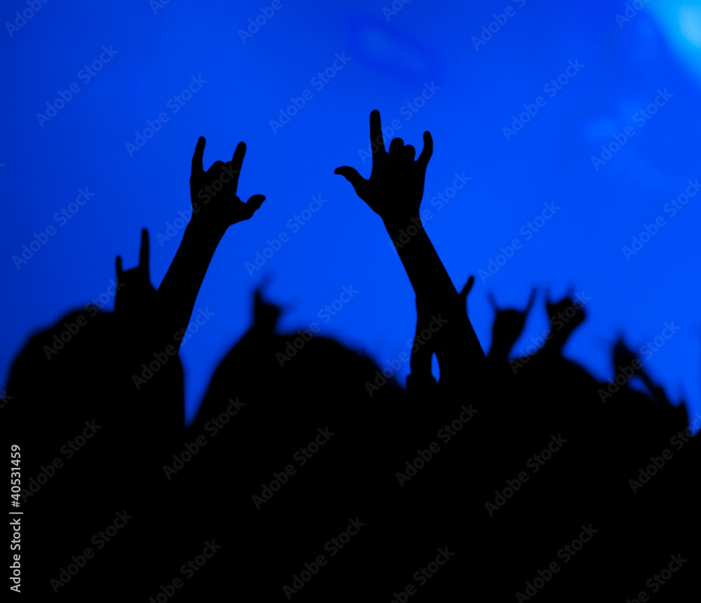 concert. contour of the fans concert. contour of the fans