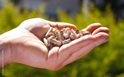 pellet5