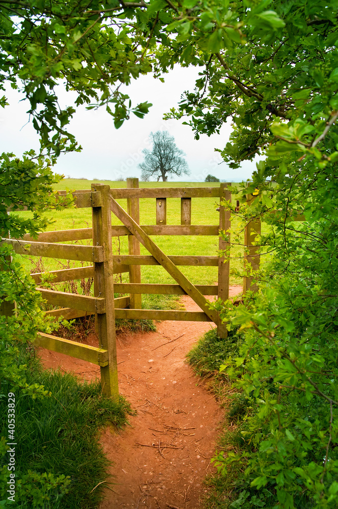 wooden gate in countryside
