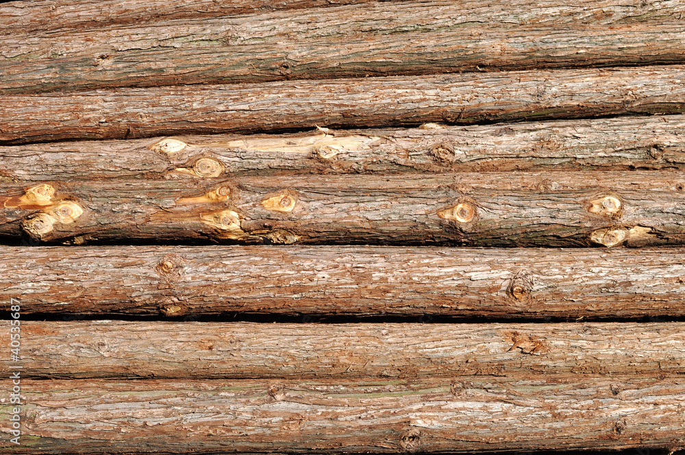 Pine log Pine log