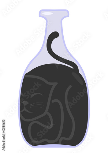 Gato en botella
