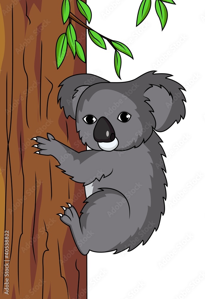 Naklejka premium Koala cartoon