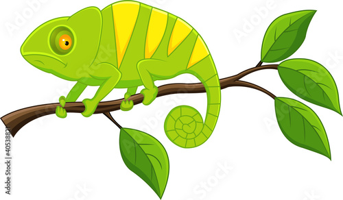 Chameleon cartoon