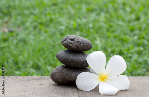 Brown flat stones in blance with frangipani flowers