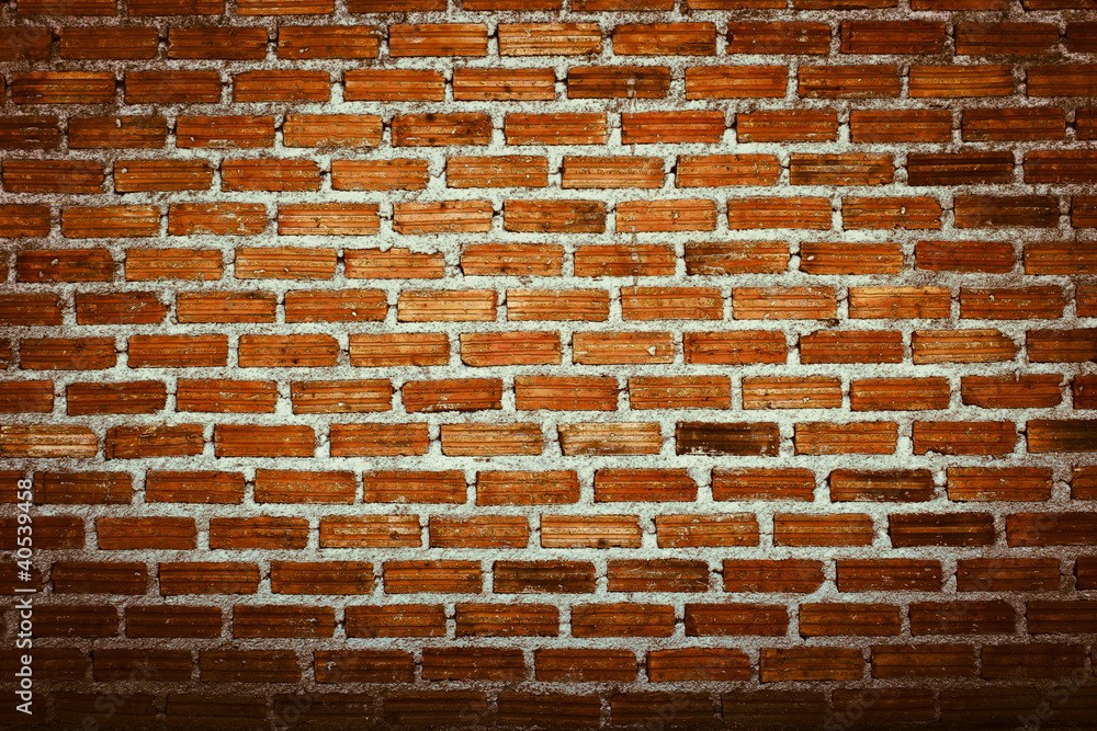 Fototapeta premium Ceglana ściana