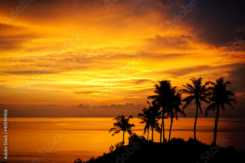 Crazy sunset on the island Bali. Silhouettes of palm trees on a background of colored clouds.