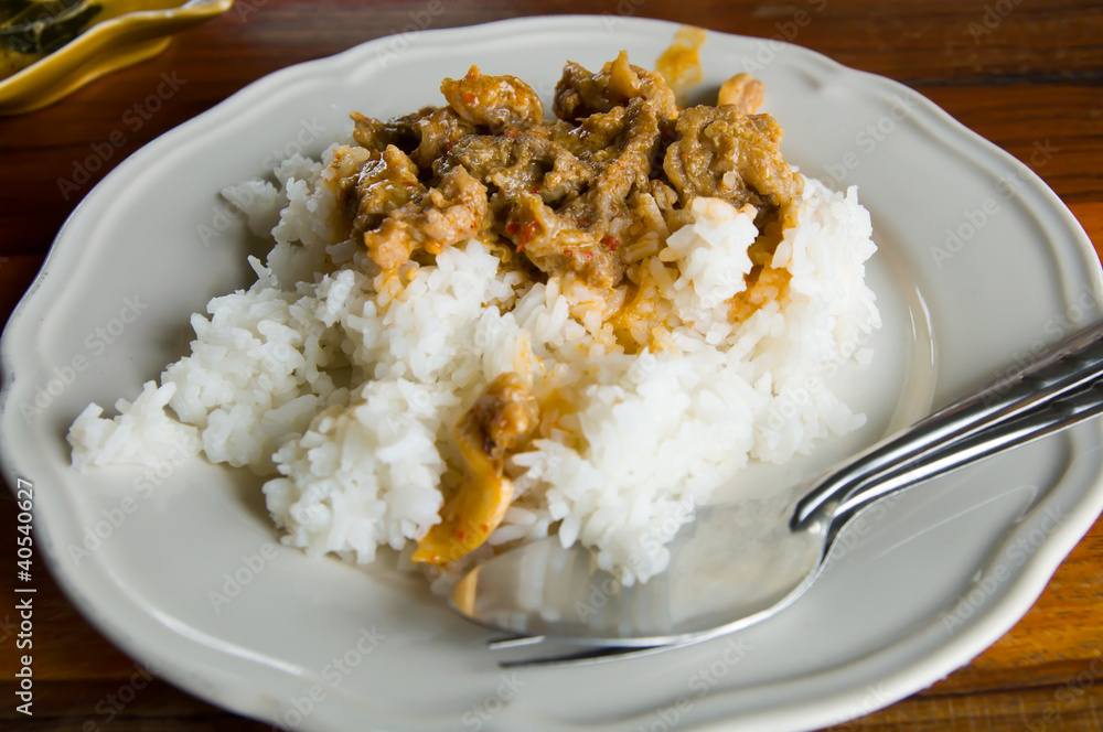 Delicious fried rice and meat close-up on white Delicious fried rice and meat close-up on white