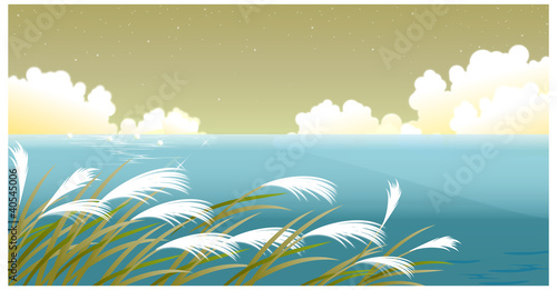 Grass blades against sky
