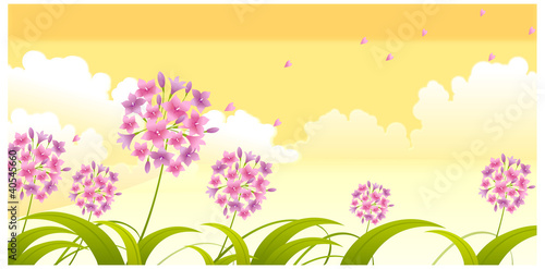 Allium flower against sky
