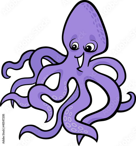 octopus