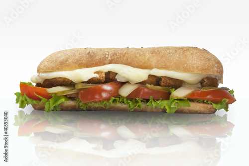 fried chicken sandwich
