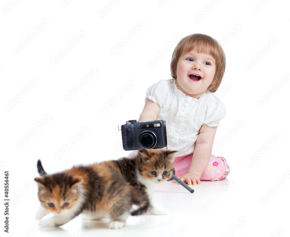 funny child shooting Scottish kitten funny child shooting Scottish kitten