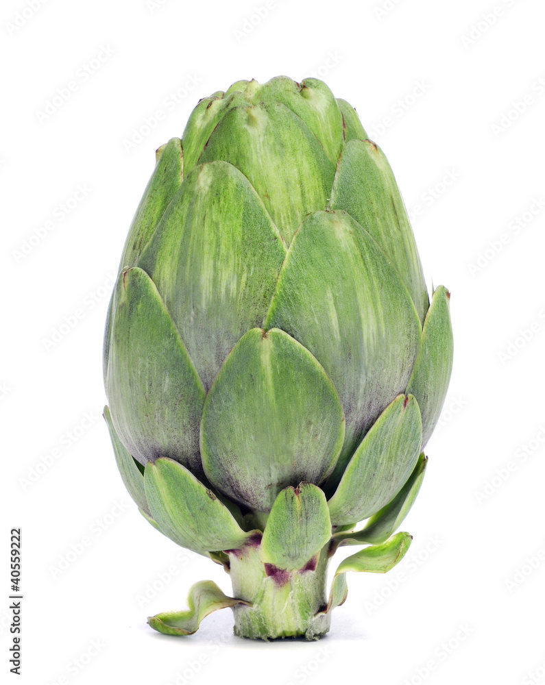 artichoke artichoke