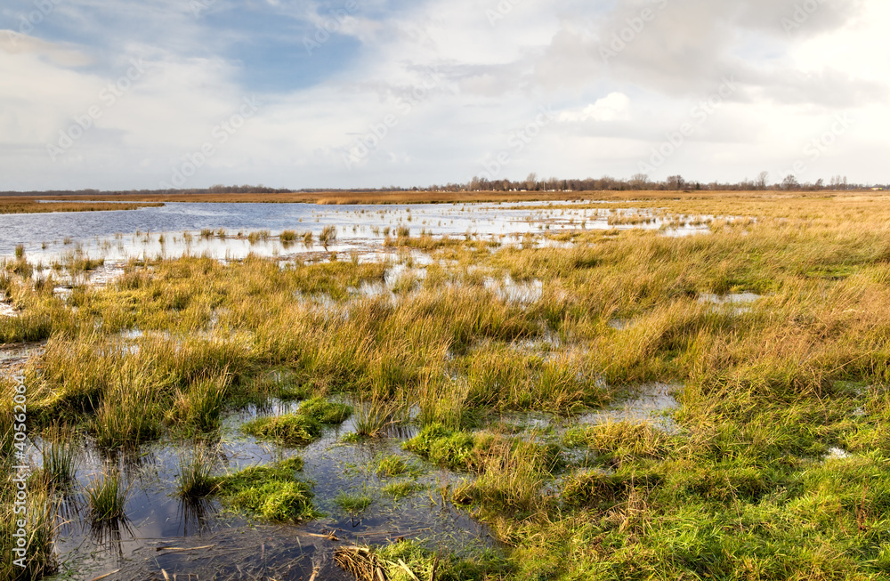 flooded field and sky